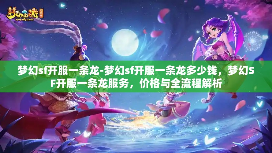 梦幻sf开服一条龙-梦幻sf开服一条龙多少钱，梦幻SF开服一条龙服务，价格与全流程解析